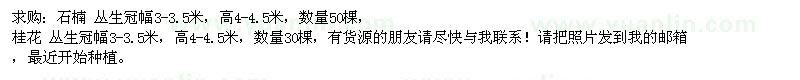 求購(gòu)石楠、桂花