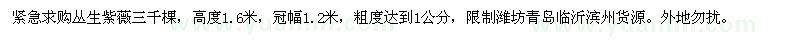 求購叢生紫薇