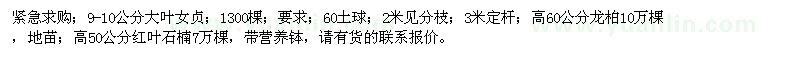 求購(gòu)大葉女貞、龍柏、紅葉石楠