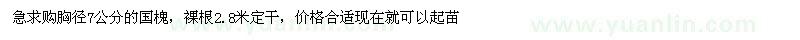 求購胸徑7公分國槐