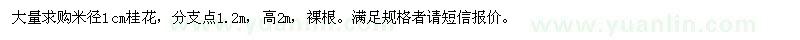 求購(gòu)米徑1公分桂花