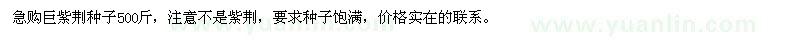 求購巨紫荊種子