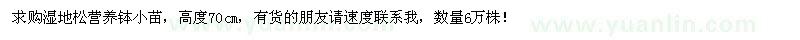 求購濕地松營養(yǎng)缽苗