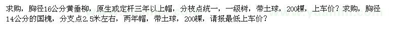 求購(gòu)16公分黃垂柳、14公分國(guó)槐
