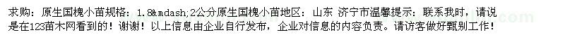 求購原生國槐小苗