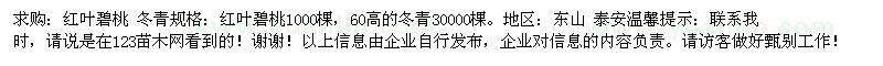 求購紅葉碧桃   冬青