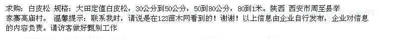 求購白皮松