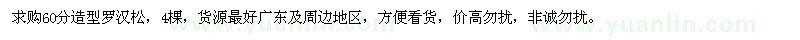 求購60公分造型羅漢松