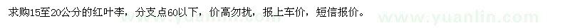 求購15-20公分紅葉李