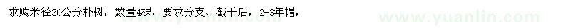 求購米徑30公分樸樹
