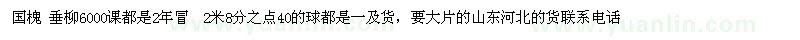 求購(gòu)國(guó)槐、垂柳