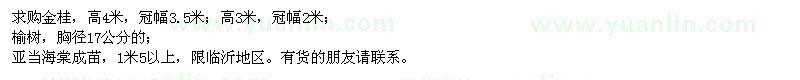 求購(gòu)金桂、榆樹(shù)、亞當(dāng)海棠