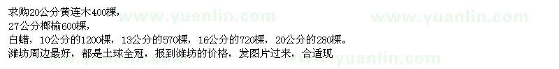 求購黃連木、榔榆、白蠟
