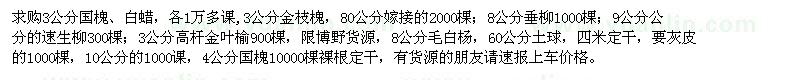 求購國槐、白蠟、垂柳、速生柳等