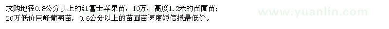 求購(gòu)紅富士蘋果苗、巨峰葡萄苗