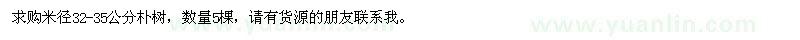 求購米徑32-35公分樸樹
