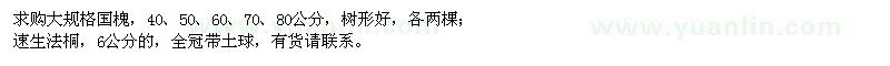 求購國槐、速生法桐