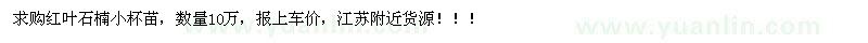 求購紅葉石楠小杯苗