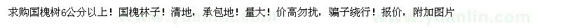 求購6-10公分國槐