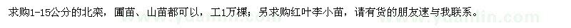 求購北欒、紅葉李小苗