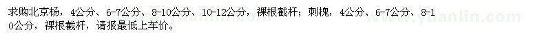 求購北京楊、刺槐