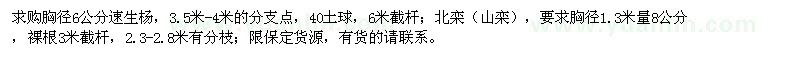 求購胸徑6公分速生楊、8公分北欒