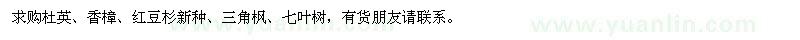 求購(gòu)杜英、香樟、紅豆杉新種