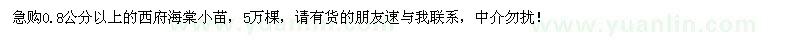 求購西府海棠小苗