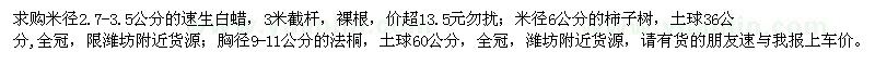 求購速生白蠟、柿子樹、法桐
