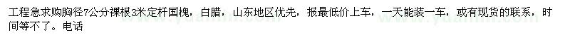 求購7公分白蠟、國槐 