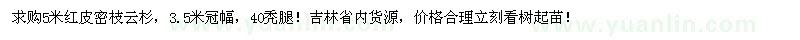 求購5米紅皮密枝云杉