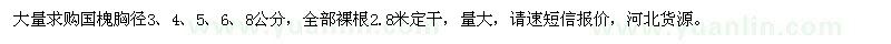求購胸徑3、4、5、6、8公分國(guó)槐