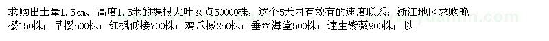 求購大葉女貞、晚櫻、早櫻等