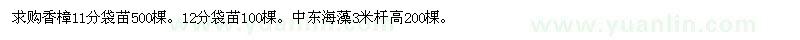 求購11、12公分香樟