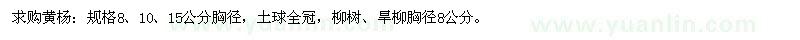 求購黃楊、柳樹、旱柳