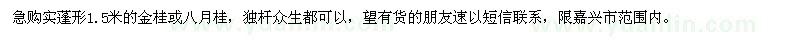 求購蓬形1.5米金桂或八月桂