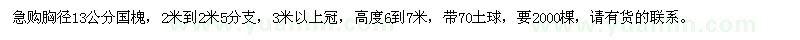 求購(gòu)胸徑13公分國(guó)槐