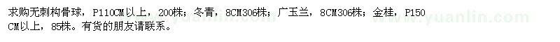 求購無刺構(gòu)骨球、冬青、廣玉蘭等