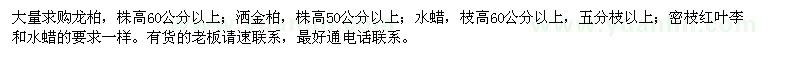 求購龍柏、灑金柏、水蠟等