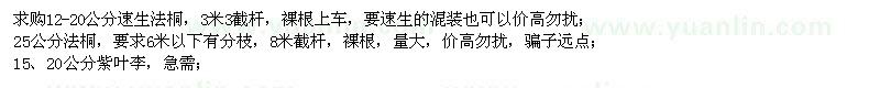 求購(gòu)速生法桐、法桐、紫葉李