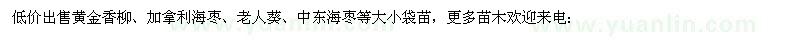 求購(gòu)黃金香柳、加拿利海棗、老人葵