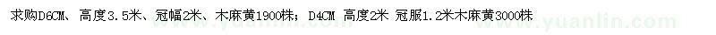 求購地徑4、6公分木麻黃