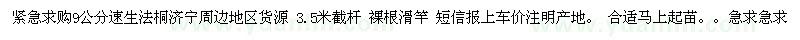 求購9公分速生法桐