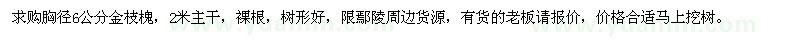 求購(gòu)胸徑6公分金枝槐