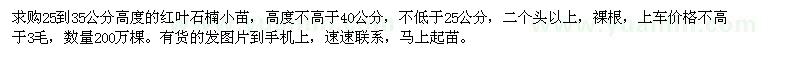 求購高25-35公分紅葉石楠