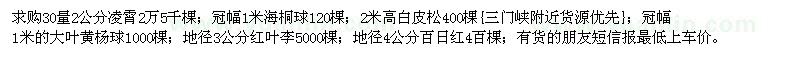 求購凌霄、海桐球、白皮松等