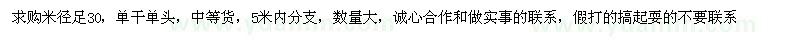 求購米徑30公分銀杏