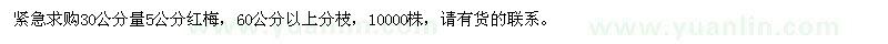 求購5公分紅梅