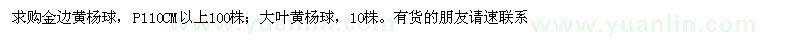 求購冠幅110公分金邊黃楊球、大葉黃楊球