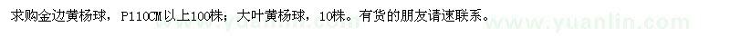 求購金邊黃楊球、大葉黃楊球
